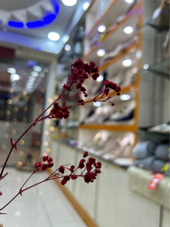 للبيع  محل في كريتر المثلث بضاعة مع ديكور مطور مع العلامة التجارية 